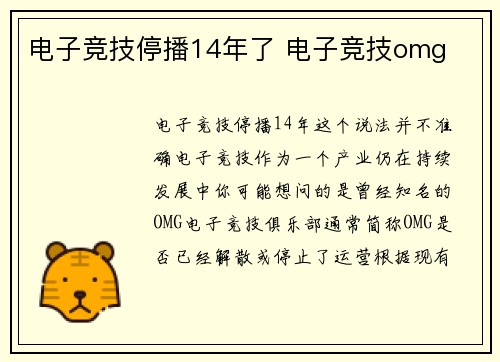 电子竞技停播14年了 电子竞技omg