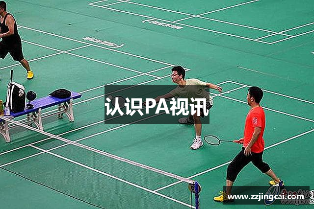 认识PA视讯